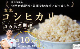 【ふるさと納税】定期便　玄米　10キロ　炊きあがりのつやと香りが良く、うま味も強い　コシヒカリ　佐久穂とさや農園〔ST-B5-1-T2〕５キ