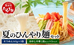 【ふるさと納税】夏 ひんやり麺 セット〜冷やし中華 6食＆そうめん 5袋〜 【 涼 麺 冷やし ラーメン ソーメン 夏 食欲増進 さっぱり 夏休