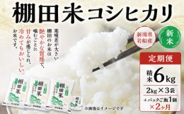 【ふるさと納税】【新米受付・令和6年産米】【定期便：2ヶ月連続でお届け】新潟県岩船産 棚田米コシヒカリ 6kg（2kg×3袋）+パックごはん