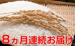 【ふるさと納税】新米！【8ヶ月連続】つきたて自家製精米　減農薬コシヒカリ　5kg