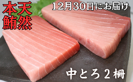 【ふるさと納税】B37-001【お正月用C】天然本鮪 中とろ2柵（12月30日にお届け）