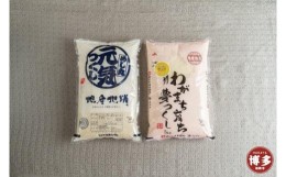 【ふるさと納税】福岡県限定のお米　お米食べ比べ(夢つくし5kg・元気つくし5kg)【福岡市】