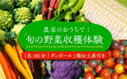 【ふるさと納税】農家のおうちで旬の野菜！！収穫体験　１名１８０分 ダンボール１箱お土産付き《豊前市》【田村農産】 [VBE005]