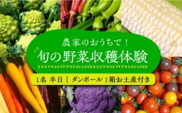 【ふるさと納税】農家のおうちで旬の野菜！！収穫体験　１名 半日 ダンボール１箱お土産付き《豊前市》【田村農産】 [VBE006]