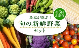 【ふるさと納税】【全3回定期便】農家が選ぶ！ 旬の新鮮野菜セット《豊前市》【田村農産】産直 野菜 やさい 詰め合わせ [VBE008]