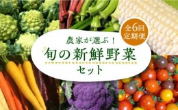 【ふるさと納税】【全6回定期便】農家が選ぶ！ 旬の新鮮野菜 約15種類 セット《豊前市》【田村農産】産直 野菜 やさい 詰め合わせ [VBE00