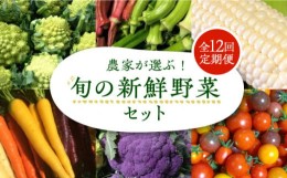 【ふるさと納税】【全12回定期便】農家が選ぶ！ 旬の新鮮野菜 約15種類 セット《豊前市》【田村農産】産直 野菜 やさい 詰め合わせ [VBE0