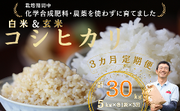 【ふるさと納税】定期便　白米５キロ＋玄米５キロ　炊きあがりのつやと香りが良く、うま味も強い　コシヒカリ　佐久穂とさや農園〔ST-W5B