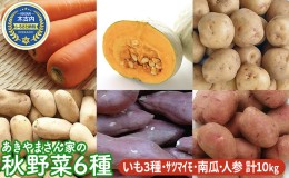 【ふるさと納税】先行予約 北海道産 あきやまさん家 秋野菜 6種　計10kg