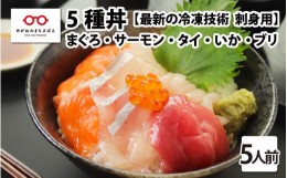 【ふるさと納税】【刺身用】海鮮丼の具5種盛り（マグロ・サーモン・タイ・イカ・ブリ）60g（タレ付） × 5人前 【最新の冷凍技術】[B-110