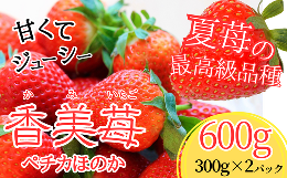 【ふるさと納税】【先行予約】【夏イチゴの最高級品種 ペチカほのか 300g（12〜24粒）2パック】7月から発送予定 香美町で育てた香美苺 い