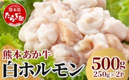 【ふるさと納税】熊本あか牛 白ホルモン 計500g（250g×2パック）冷凍真空パック 【 熊本 熊本県産 あか牛 冷凍 真空 もつ鍋 ホルモン 焼