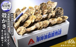 【ふるさと納税】厚岸産 殻かき 3L 20個・L 20個セット (合計40個) 北海道 牡蠣 カキ かき 生食 