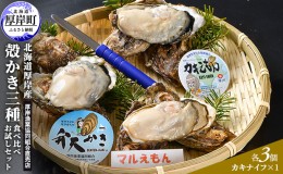 【ふるさと納税】 北海道厚岸産 殻かき三種 食べ比べ お試し セット　牡蠣