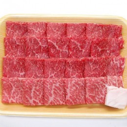 【ふるさと納税】飛騨市産 5等級飛騨牛 焼肉用 500g 冬ギフト お歳暮[Q353]