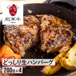 【ふるさと納税】うまい赤身にこだわった 牛飼いの和牛肉 ハンバーグ 200g×2枚  飛米牛 冬ギフト 生ハンバーグ 和牛100%[Q362]