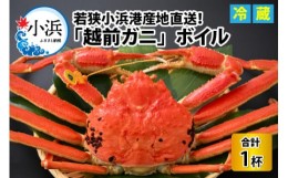 【ふるさと納税】【先行予約】【加福鮮魚】「若狭小浜港産地直送」越前がに(ズワイガニ) ボイル1杯 【2024年11月7日より順次発送】