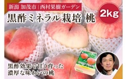 【ふるさと納税】【2024年先行予約】新潟産 西村の黒酢ミネラル栽培 桃 2kg（6〜10玉）《7月下旬以降発送》玄米黒酢やヨーグルトを散布し