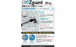 【ふるさと納税】イージーガード(ezguard)Pro＜10枚入＞【1421906】