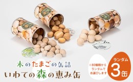 【ふるさと納税】「いわての森の恵み缶」ランダム3缶set　“木のたまごコロロ”【1419718】