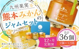 【ふるさと納税】【12ヶ月定期便】熊本みかんのジャムセット(120g×3個)×12回 ジャム 果物 フルーツ 3種類 デコポン 甘夏 晩白柚