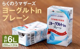 【ふるさと納税】ヨーグルト in プレーン 1ケース（250ml×24本）乳酸菌飲料 らくのうマザーズ