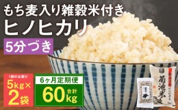 【ふるさと納税】【定期便6ヵ月】熊本県菊池産 ヒノヒカリ 5分づき米 5kg×2袋 もち麦入り雑穀米 200g×2袋 計62.4kg