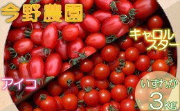 【ふるさと納税】先行予約 2024年8月発送 北海道 仁木町産 ミニトマト 3kg 今野農園