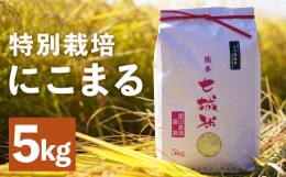 【ふるさと納税】【紡ぐ。人をふる里を明日へ】極にこまる 5kg お米 ご飯