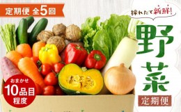 【ふるさと納税】【定期便5回】 野菜 定期便 10品程度 熊本県 菊池市産  やさい 【メロンドーム】