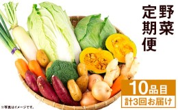 【ふるさと納税】【定期便年3回】 旬の野菜 10品 セット やさい 野菜 詰め合わせ  詰合せ 定期便【養生市場】