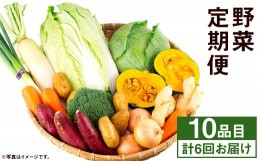 【ふるさと納税】【定期便年6回】旬の野菜 10品 野菜 やさい 詰合せ 詰め合わせ セット 定期便 【養生市場】