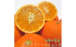 【ふるさと納税】厳選 セミノール オレンジ 3kg【農家直送】【和歌山県産】【先行予約・2025年4月上旬〜4月下旬発送】