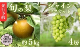 【ふるさと納税】【 先行予約 】 茨城県産 シャインマスカット4房と旬の梨詰め合わせ 約5kg【茨城県共通返礼品／常陸太田市】 桧山果樹園