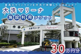 【ふるさと納税】大洗マリーナ 利用券（30万円分） 施設利用 チケット 利用券 係留料 艇置料 レジャー 体験 観光 旅行 釣り フィッシング