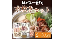 【ふるさと納税】はかた一番どり 水炊き セット(2〜3人前) [a0241] 株式会社 ゼロプラス ※配送不可：離島【返礼品】添田町 ふるさと納税