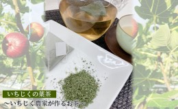 【ふるさと納税】いちじくの葉茶〜いちじく農家が作るお茶〜