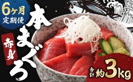 【ふるさと納税】【6ヶ月定期便】長崎県産 本マグロ 赤身 500g 鮪 魚 刺身 【大村湾漁業協同組合】