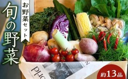 【ふるさと納税】野菜セット 旬の野菜 (約13品)