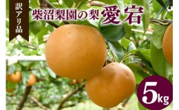 【ふるさと納税】【訳アリ品】柴沼梨園の梨（愛宕）5kg