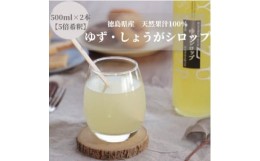 【ふるさと納税】徳島県産果汁たっぷり　ゆず・しょうがシロップ(500ml)2本セット＜5倍希釈＞【1209848】