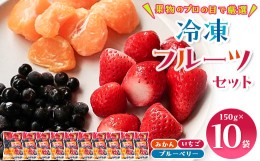【ふるさと納税】冷凍フルーツセット(みかん、いちご、ブルーベリー)150g×10袋【1233921】