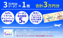 【ふるさと納税】日本旅行　地域限定旅行クーポン【30，000円分】