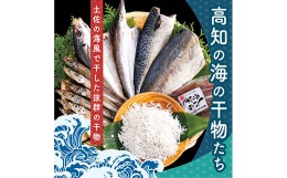 【ふるさと納税】ZZ100-NT　高知の海の干物たち＜土佐の海風で干した抜群の干物を＞＜高知市・南国市共通返礼品＞