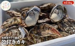 【ふるさと納税】【国内消費拡大求む】 北海道 サロマ湖産 カキ 約3.6kg 牡蠣 かき 海鮮 魚介 国産 殻付き 貝付き 生牡蠣 生食 焼き牡蠣 