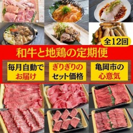 【ふるさと納税】【訳あり 緊急支援】【12回定期便】和牛と地鶏 毎月交互にお届け＜京都亀岡丹波山本×ひら山＞京の肉＆地鶏丹波黒どり・