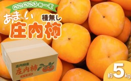 【ふるさと納税】【令和6年産先行予約】にこにこふぁーむのあまーい種無し庄内柿　ホワイトリカー35度で渋抜き済　M〜Lサイズ 約5kg（20