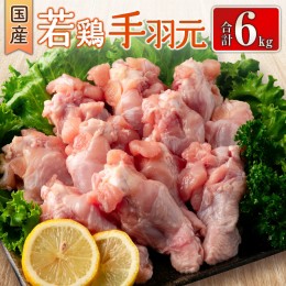 【ふるさと納税】国産若鶏手羽元 合計6kg 鶏肉 九州産【B625】