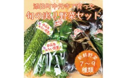 【ふるさと納税】中元寺 旬の実り 野菜 セット(旬の野菜 7〜9種類程度) [a0010] 中元寺みらい農業株式会社 ※配送不可：北海道・東北・沖