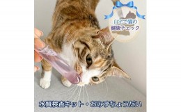 【ふるさと納税】《自宅で猫の健康チェック》水質検査キット・おみずちょうだい